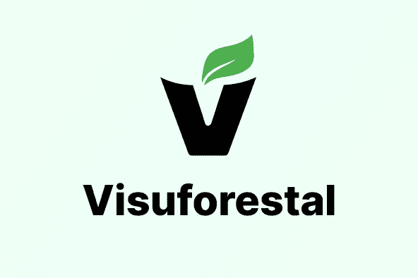 Portait photo for project Visuforestal